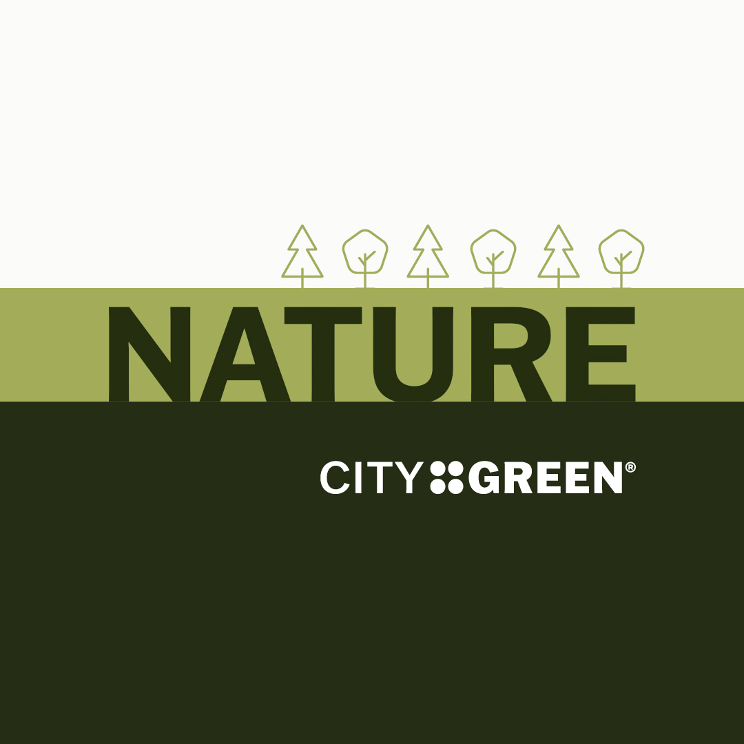 CityGreen Reel